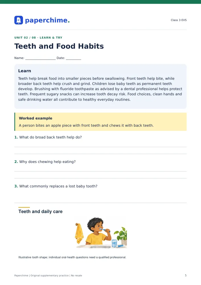 Actual Teeth and Food Habits practice page, Class 3 EVS