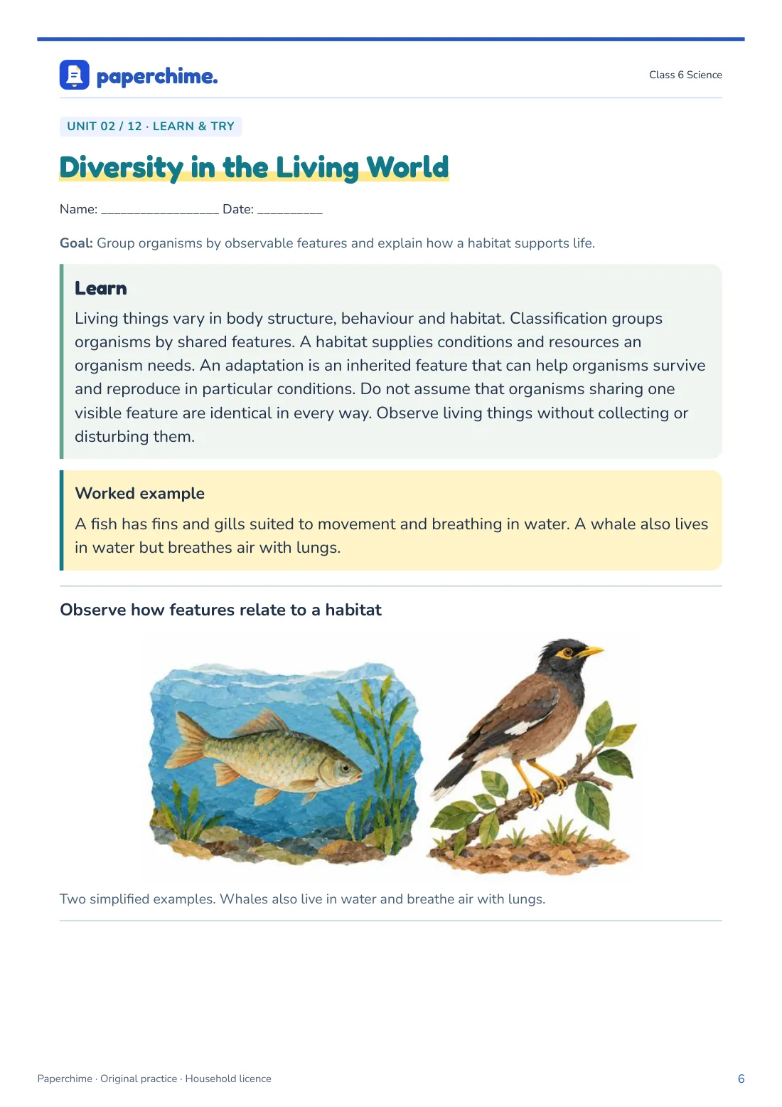 Actual Diversity in the Living World practice page, Class 6 Science