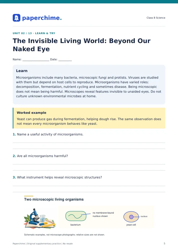 Actual The Invisible Living World: Beyond Our Naked Eye practice page, Class 8 Science