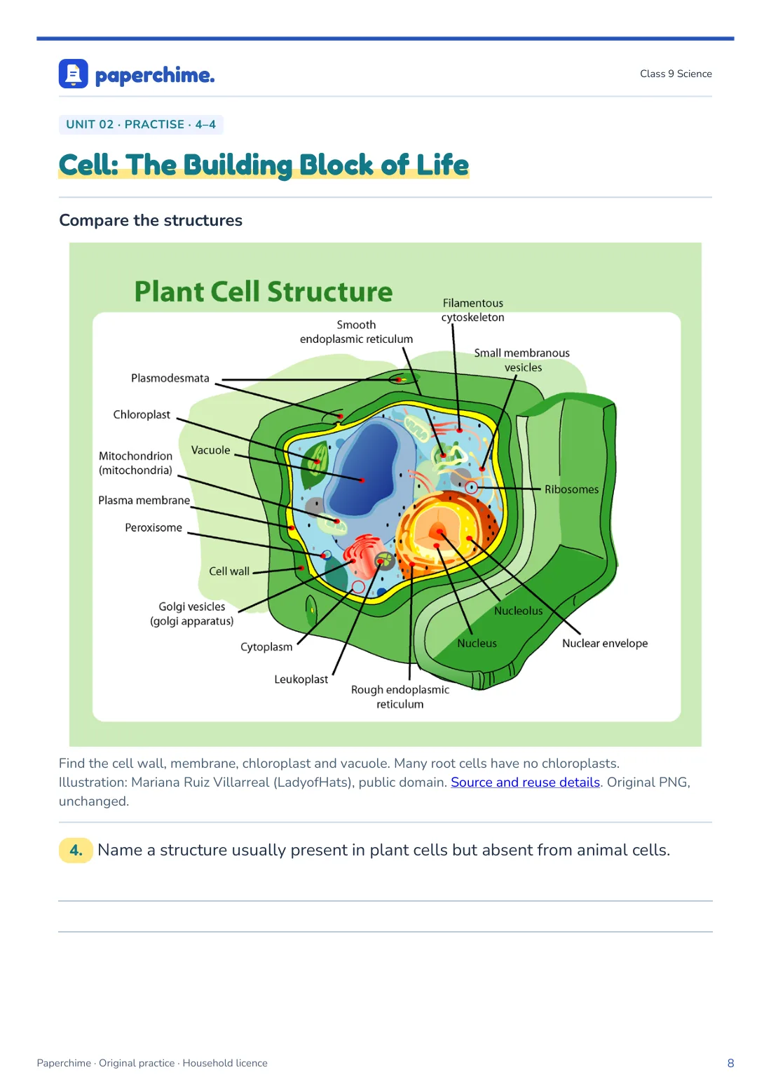 Actual Cell: The Building Block of Life practice page, Class 9 Science