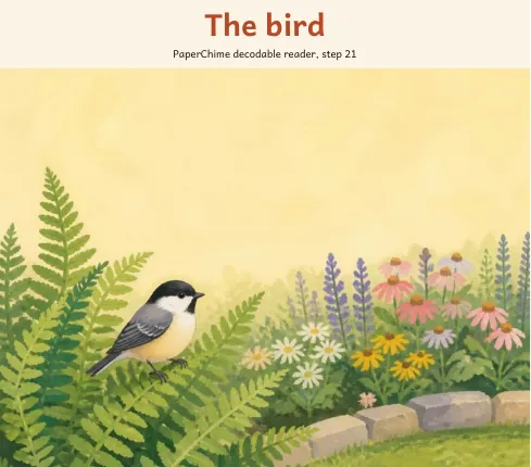 Cover of The bird, decodable reader step 21